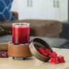 Pewter Warmer